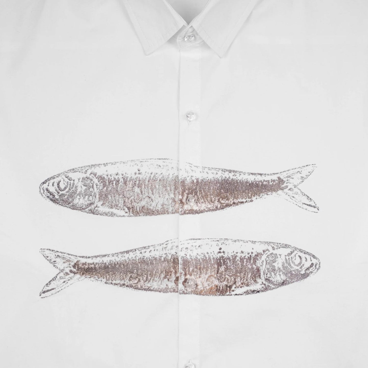 Fish Shirt