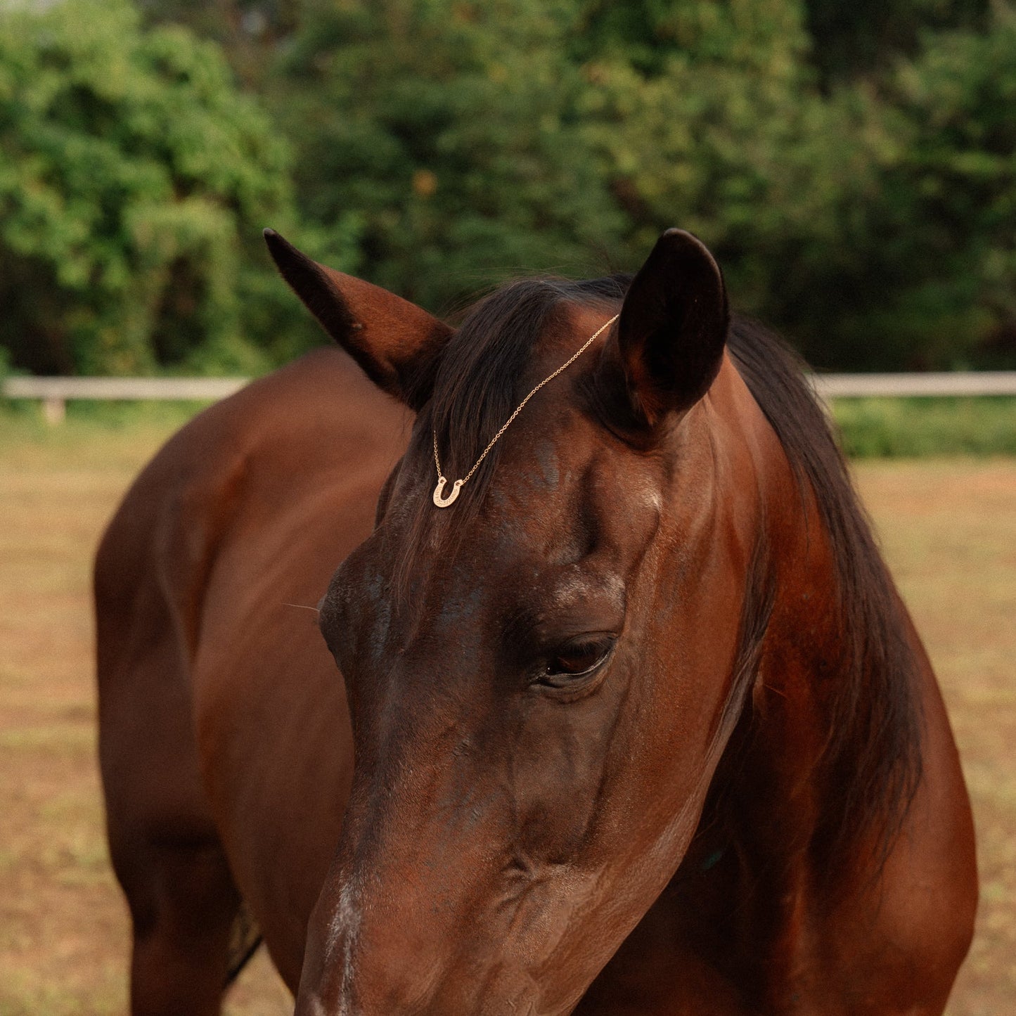 Major Blessings Necklace